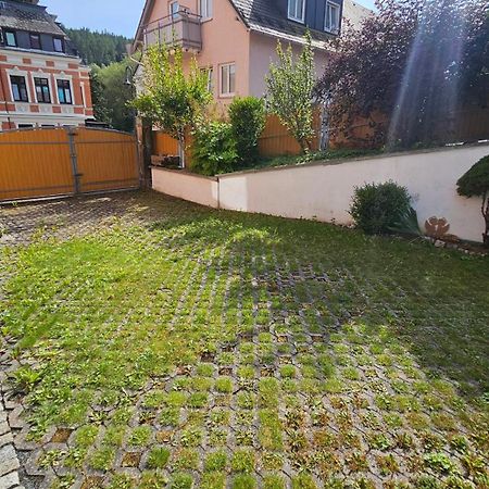 Pension Weisse Rose, Parkplatz, Fruehstueck, Wlan, Zentral Бад-Эльстер Экстерьер фото