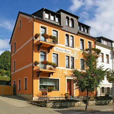 Pension Weisse Rose, Parkplatz, Fruehstueck, Wlan, Zentral Бад-Эльстер Экстерьер фото
