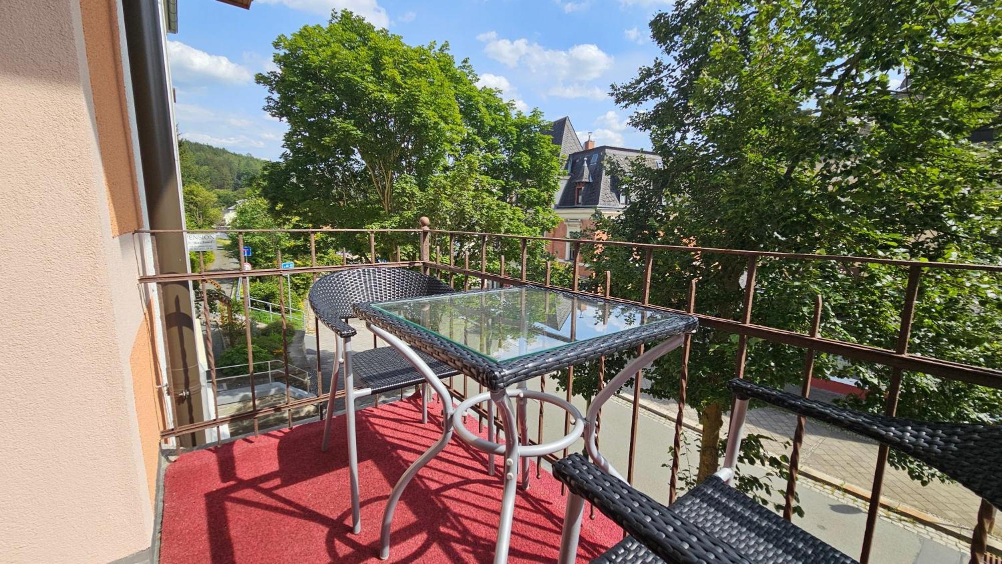 Pension Weisse Rose, Parkplatz, Fruehstueck, Wlan, Zentral Бад-Эльстер Экстерьер фото