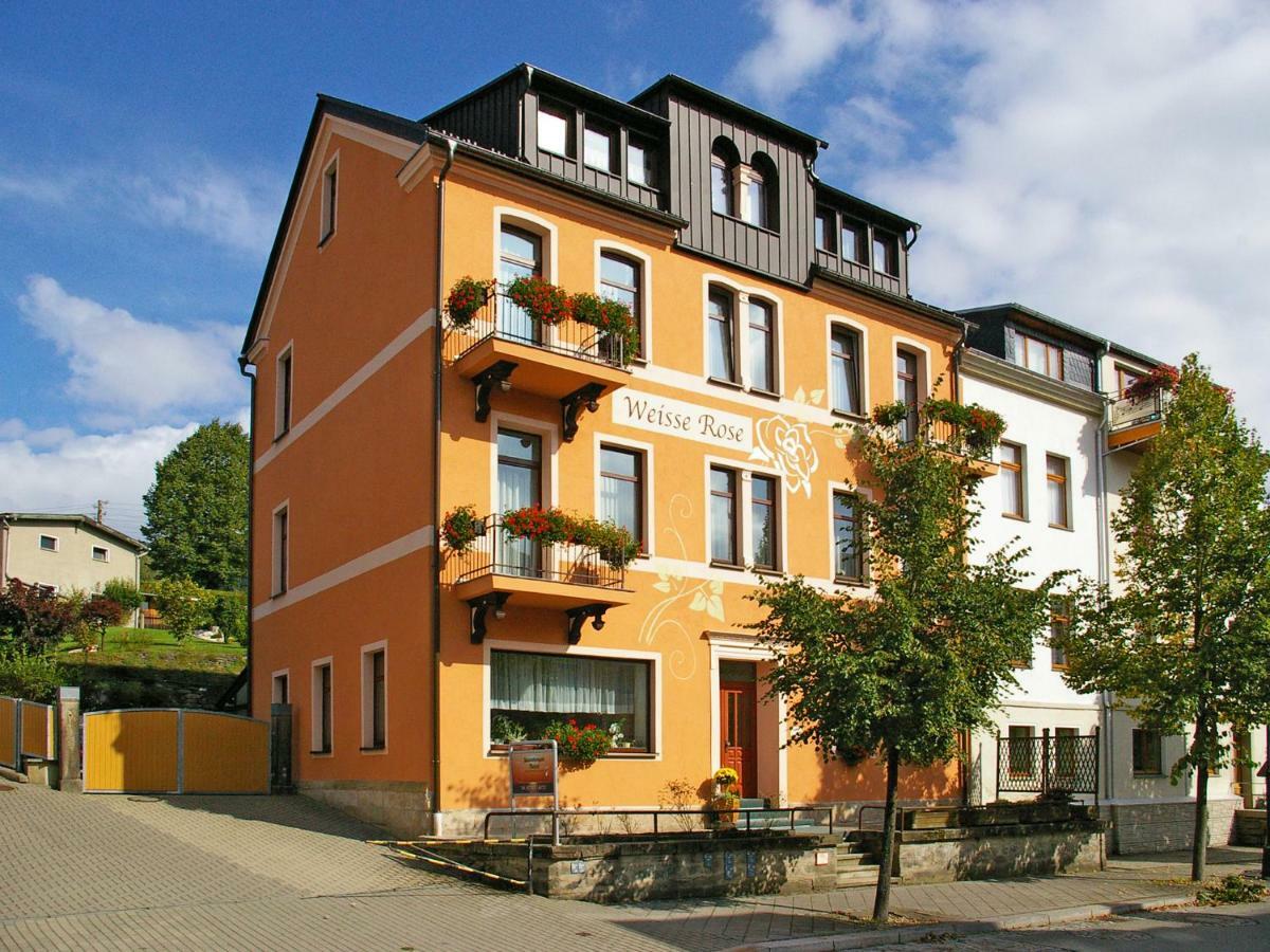Pension Weisse Rose, Parkplatz, Fruehstueck, Wlan, Zentral Бад-Эльстер Экстерьер фото